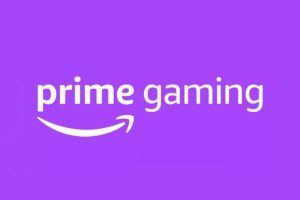 Cos’è Amazon Gaming e come viene utilizzato?