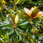 1750965912478.jpeg 1750965912478.jpeg